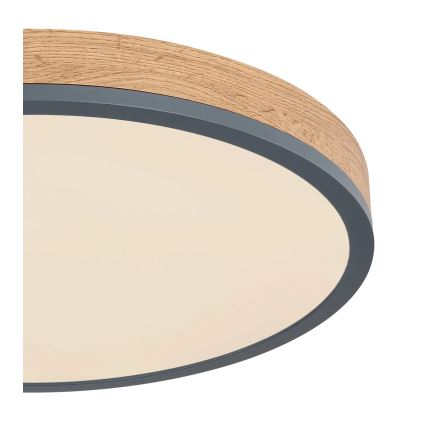 Globo - Ρυθμιζόμενο φωτιστικό οροφής LED/24W/230V 3000-6500K Ø 45 cm