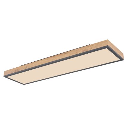 Globo - LED Dimmable φωτιστικό οροφής LED/24W/230V 2700-6500K + τηλεχειριστήριο