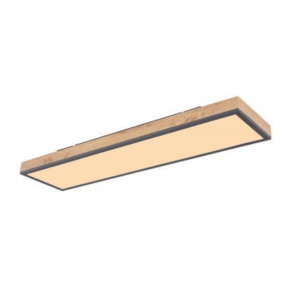 Globo - LED Φωτιστικό οροφής LED/24W/230V