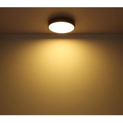 Globo - LED Dimmable φωτιστικό οροφής LED/40W/230V 2700-6500K διάμετρος 60 cm + τηλεχειριστήριο καφέ/γκρι
