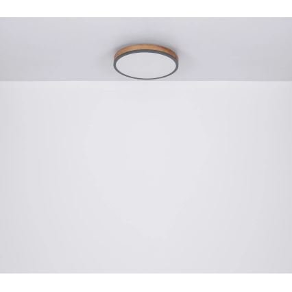 Globo - LED Dimmable φωτιστικό οροφής LED/40W/230V 2700-6500K διάμετρος 60 cm + τηλεχειριστήριο καφέ/γκρι