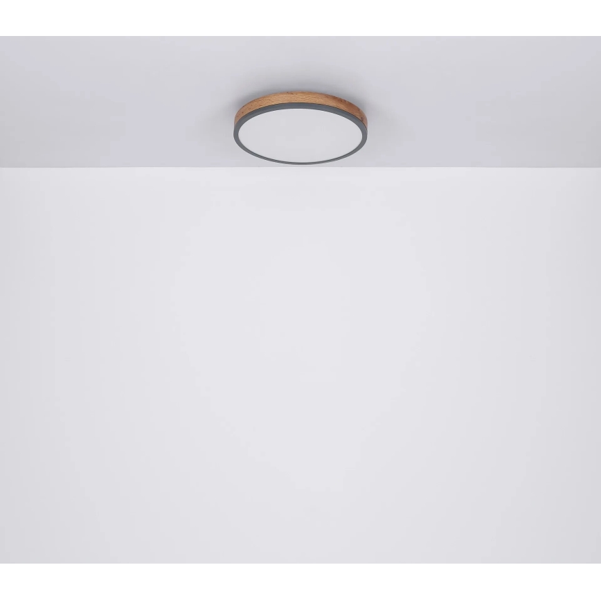 Globo - LED Dimmable φωτιστικό οροφής LED/40W/230V 2700-6500K διάμετρος 60 cm + τηλεχειριστήριο καφέ/γκρι