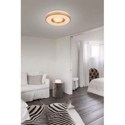 Globo - Φωτιστικό οροφής LED LED/24W/230V