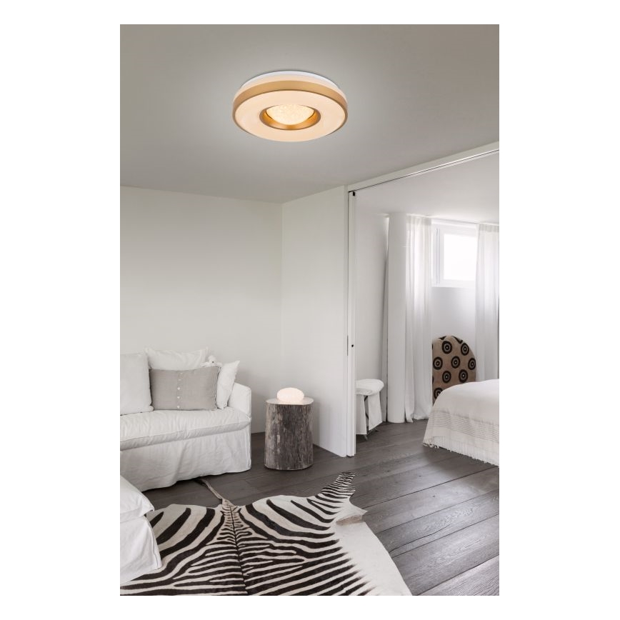 Globo - Φωτιστικό οροφής LED LED/24W/230V