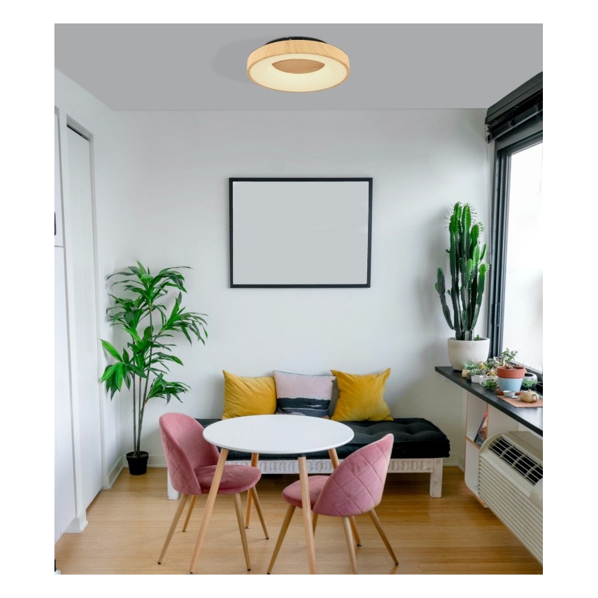 Globo - LED Dimmable φωτιστικό οροφής LED/30W/230V + τηλεχειριστήριο