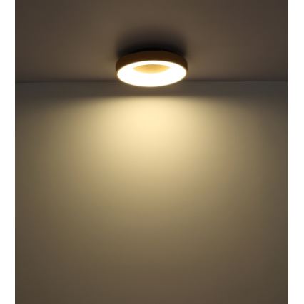 Globo - LED Dimmable φωτιστικό οροφής LED/30W/230V + τηλεχειριστήριο