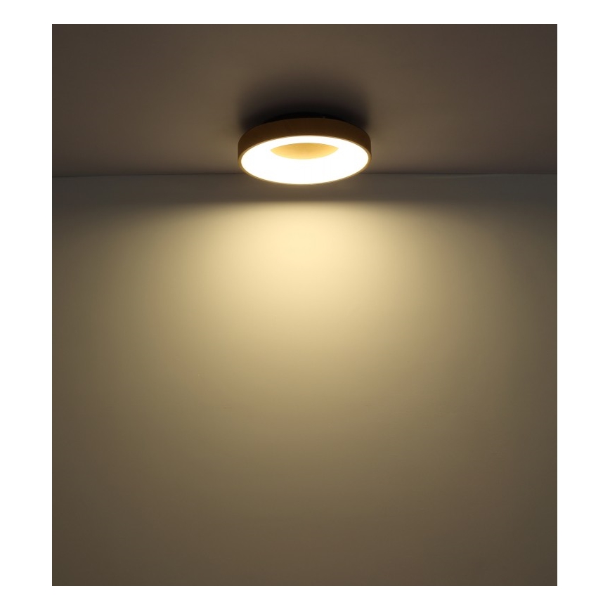 Globo - LED Dimmable φωτιστικό οροφής LED/30W/230V + τηλεχειριστήριο