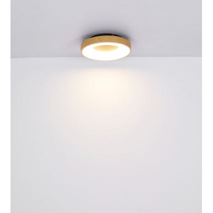 Globo - LED Dimmable φωτιστικό οροφής LED/30W/230V + τηλεχειριστήριο
