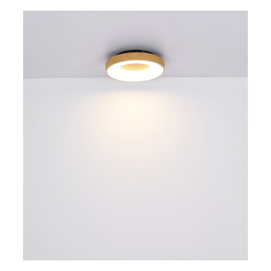 Globo - LED Dimmable φωτιστικό οροφής LED/30W/230V + τηλεχειριστήριο