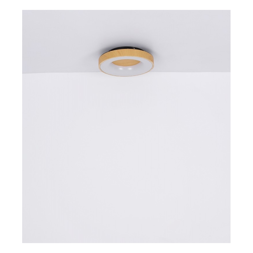 Globo - LED Dimmable φωτιστικό οροφής LED/30W/230V + τηλεχειριστήριο