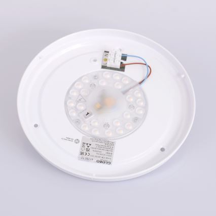 Globo - LED Οροφιαίο φωτιστικό LED/12W/230V 307 mm 3000/4500/6000K