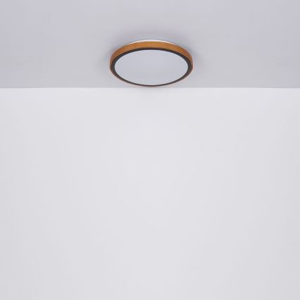 Globo - LED Οροφιαίο φωτιστικό LED/12W/230V 307 mm 3000/4500/6000K