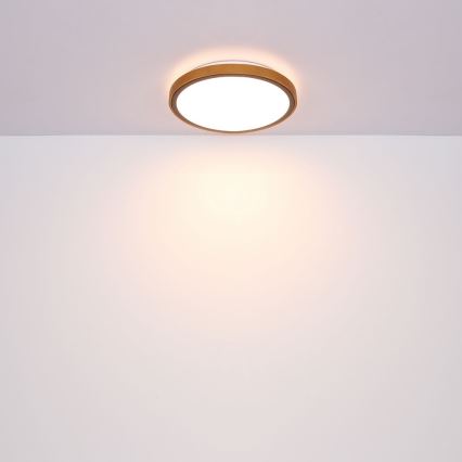 Globo - LED Φωτιστικό οροφής LED/12W/230V 307 mm 3000/4500/6000K