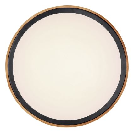 Globo - Φωτιστικό οροφής LED LED/24W/230V 3000/4500/6000K διάμετρος 43,7 cm
