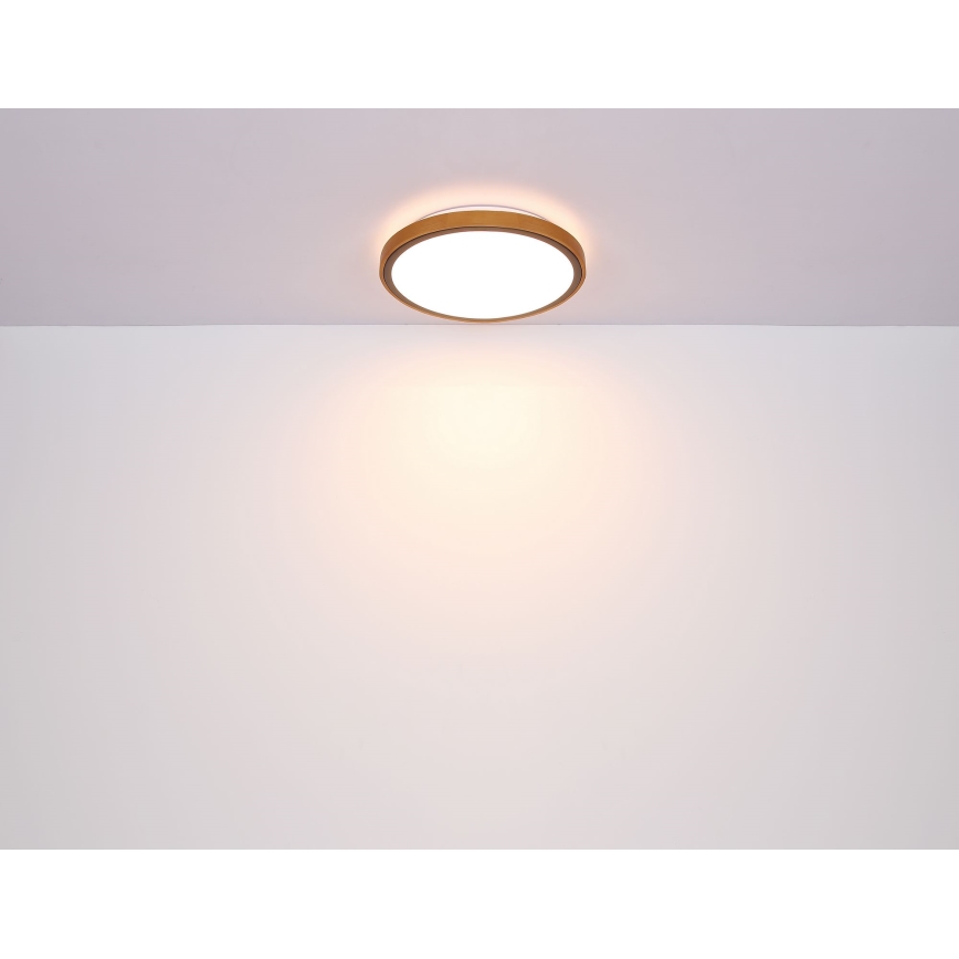 Globo - Φωτιστικό οροφής LED LED/12W/230V 3000/4500/6000K διάμετρος 30 cm