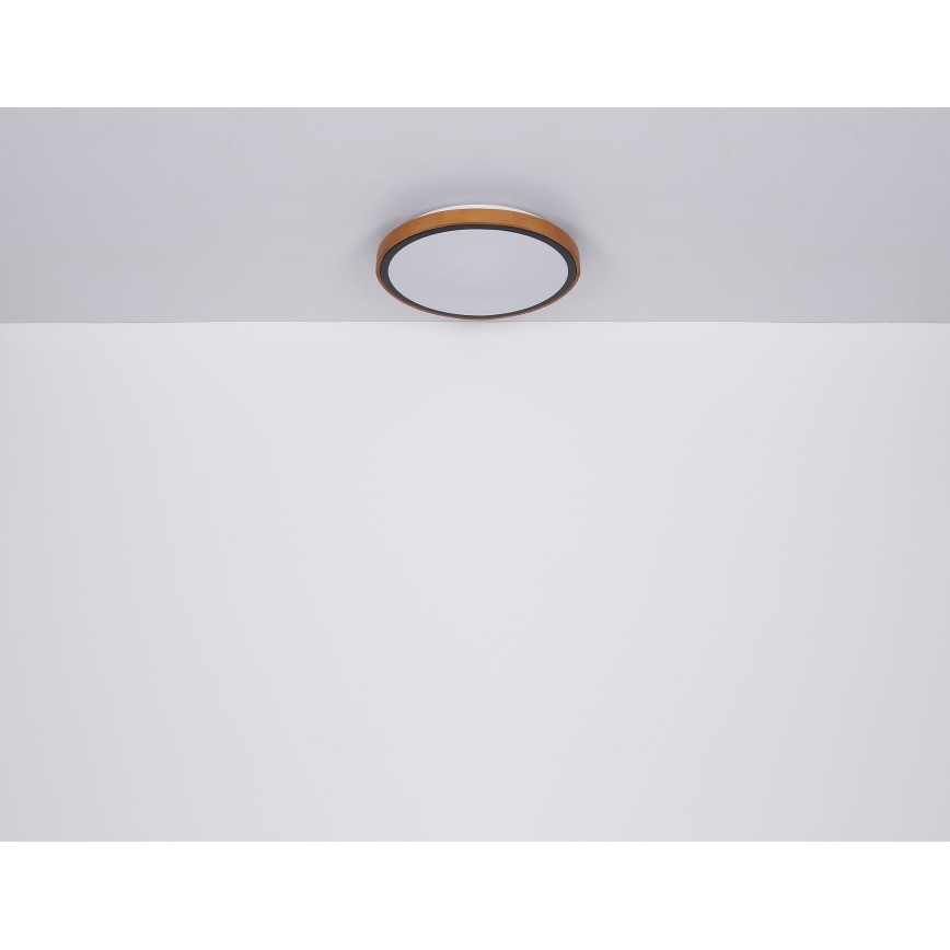 Globo - Φωτιστικό οροφής LED LED/12W/230V 3000/4500/6000K διάμετρος 30 cm