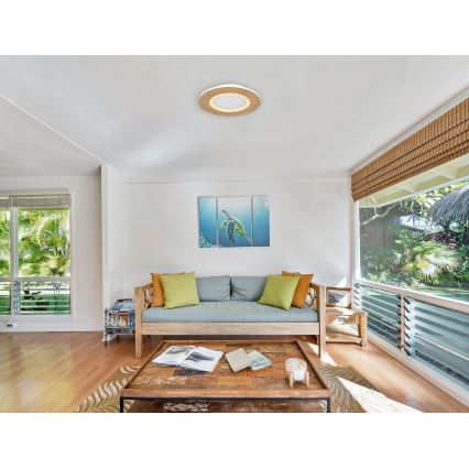 Globo - Φωτιστικό οροφής LED LED/23W/230V 2700/6500K