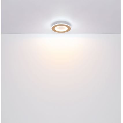 Globo - Φωτιστικό οροφής LED LED/23W/230V 2700/6500K