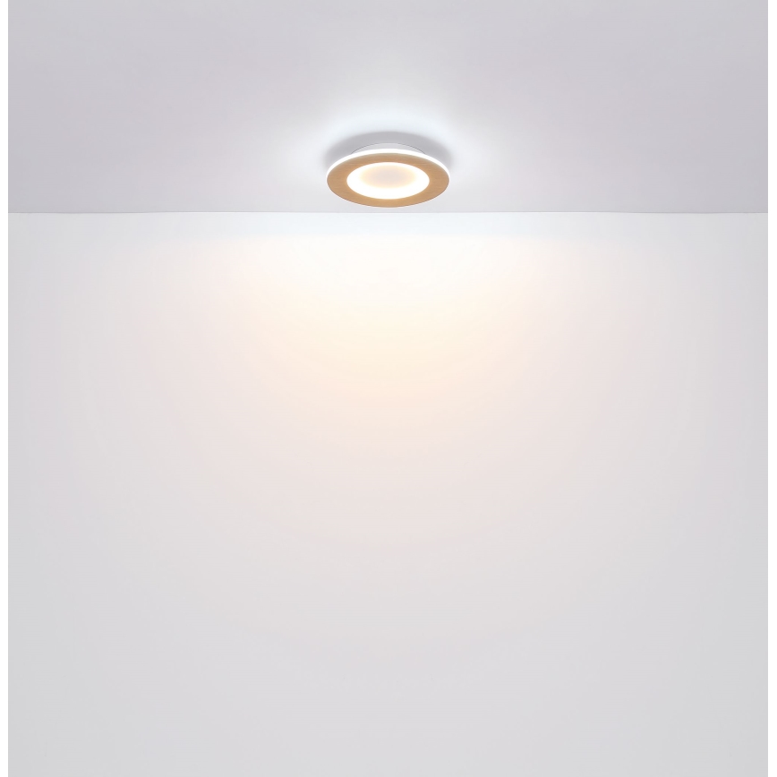Globo - Φωτιστικό οροφής LED LED/23W/230V 2700/6500K