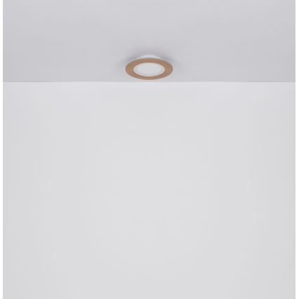 Globo - Φωτιστικό οροφής LED LED/23W/230V 2700/6500K