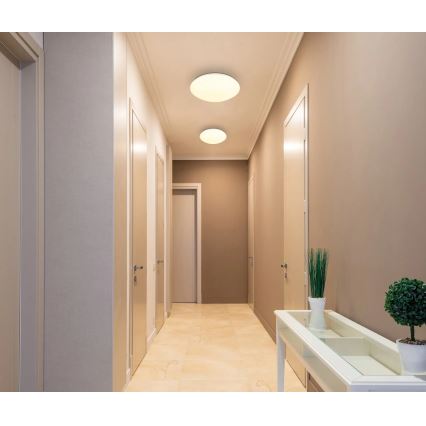 Globo - Φωτιστικό οροφής LED/24W/230V 3000K Ø 35 cm