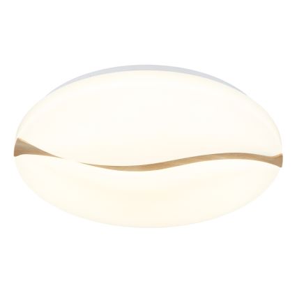 Globo - Φωτιστικό οροφής LED LED/24W/230V 3000/4200/6000K διάμετρος 33 cm