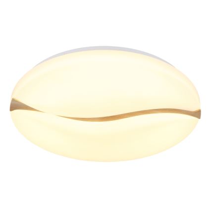 Globo - Φωτιστικό οροφής LED LED/24W/230V 3000/4200/6000K διάμετρος 33 cm