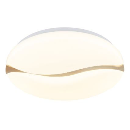 Globo - LED Οροφωτιστικό LED/24W/230V 3000/4200/6000K διάμ. 39 εκ.