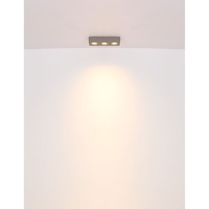Globo - Φωτιστικό οροφής LED LED/14W/230V 11,7x33,2 cm