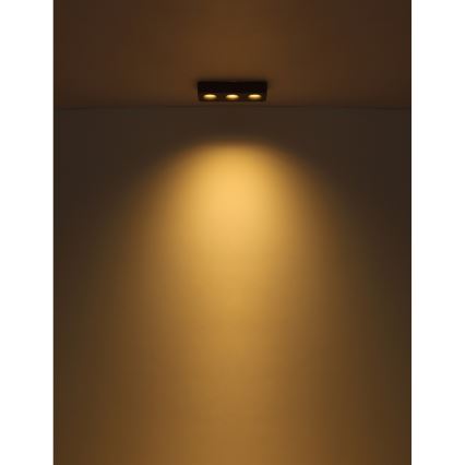 Globo - Φωτιστικό οροφής LED LED/14W/230V 11,7x33,2 cm
