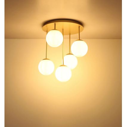 Globo - Επιφανειακό φωτιστικό οροφής 5xE14/25W/230V, μπρούτζινο