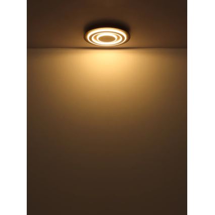Globo - Φωτιστικό οροφής LED LED/24W/230V 3000K διάμετρος 32 cm ανθρακί