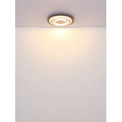 Globo - Φωτιστικό οροφής LED LED/24W/230V 3000K διάμετρος 32 cm ανθρακί