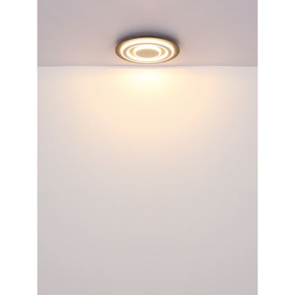 Globo - Φωτιστικό οροφής LED LED/24W/230V 3000K διάμετρος 32 cm