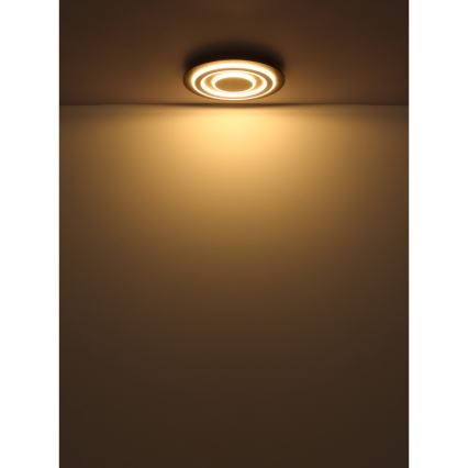 Globo - Φωτιστικό οροφής LED LED/24W/230V 3000K διάμετρος 32 cm