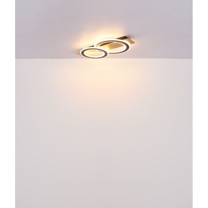 Globo - Φωτιστικό οροφής LED LED/40W/230V 3000K 35x63 cm