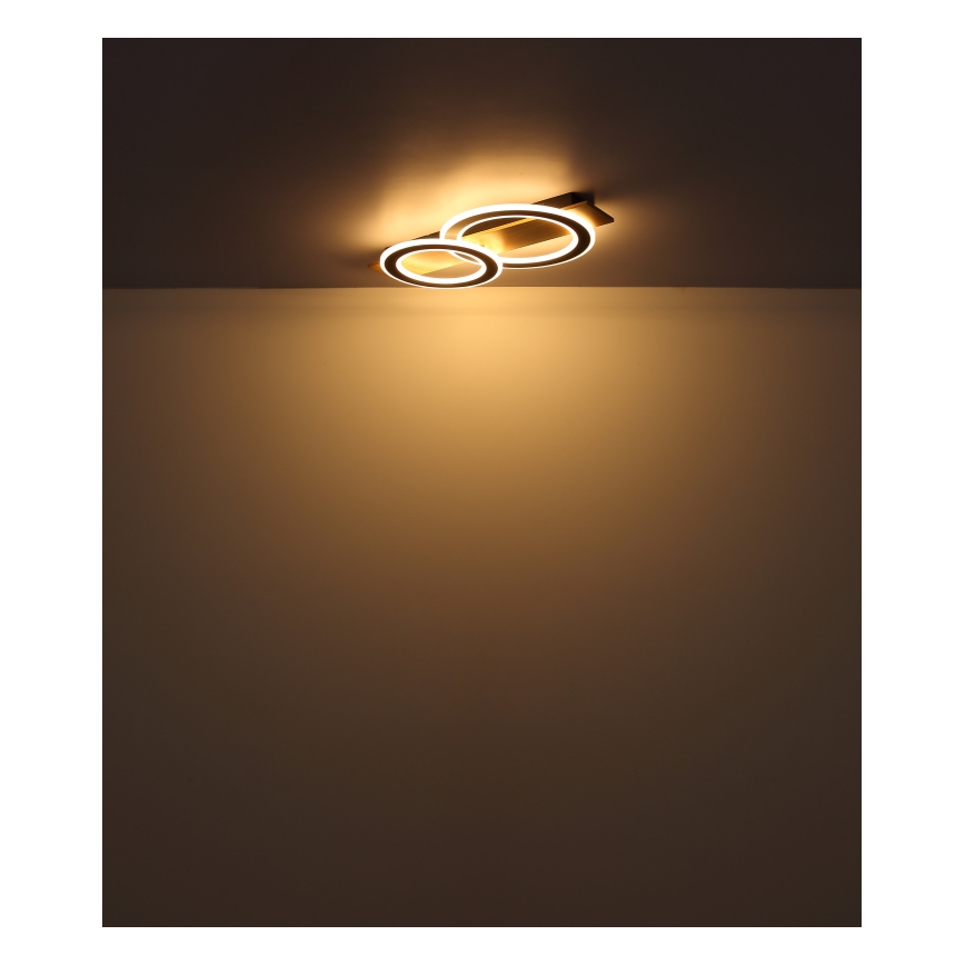 Globo - Φωτιστικό οροφής LED LED/40W/230V 3000K 35x63 cm