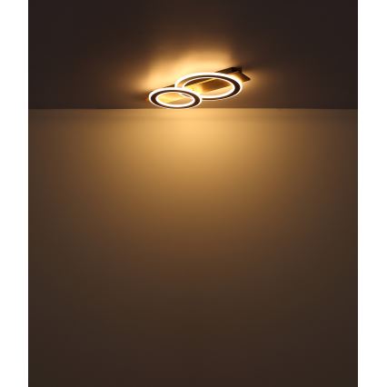 Globo - Φωτιστικό οροφής LED LED/40W/230V καφέ