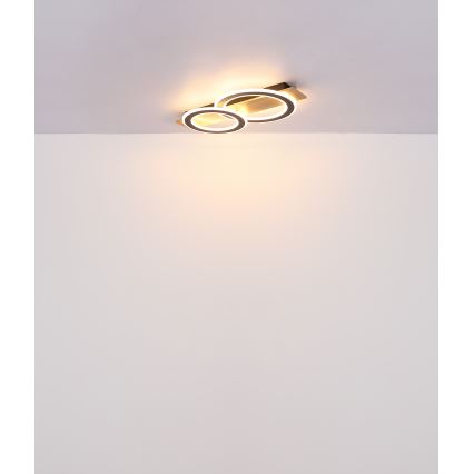 Globo - Φωτιστικό οροφής LED LED/40W/230V καφέ