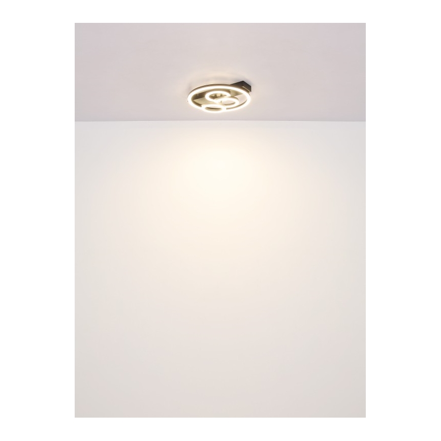 Globo - Ρυθμιζόμενο φωτιστικό οροφής LED/40W/230V 2700-6500K Ø 35x33 cm + τηλεχειριστήριο