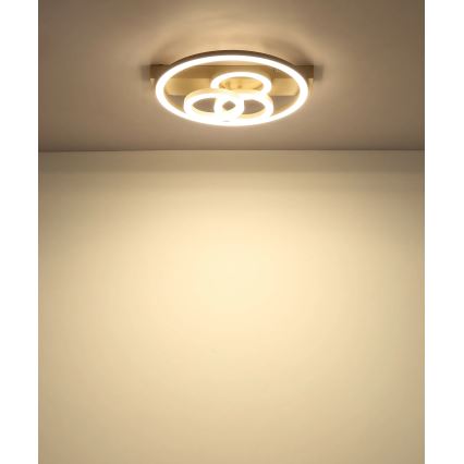 Globo - Ρυθμιζόμενο φωτιστικό οροφής LED/40W/230V 2700-6500K διάμ. 35x33 cm μπεζ + τηλεχειριστήριο