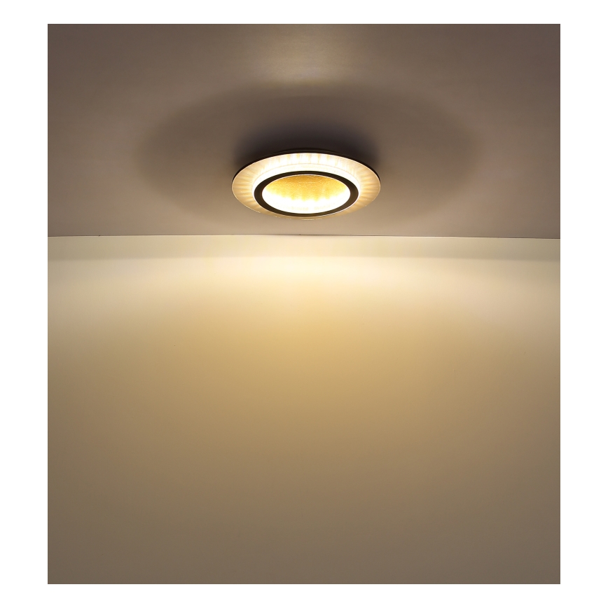 Globo - LED φωτιστικό οροφής LED/24W/230V 3000/4000/6500K Ø 35 cm μαύρο