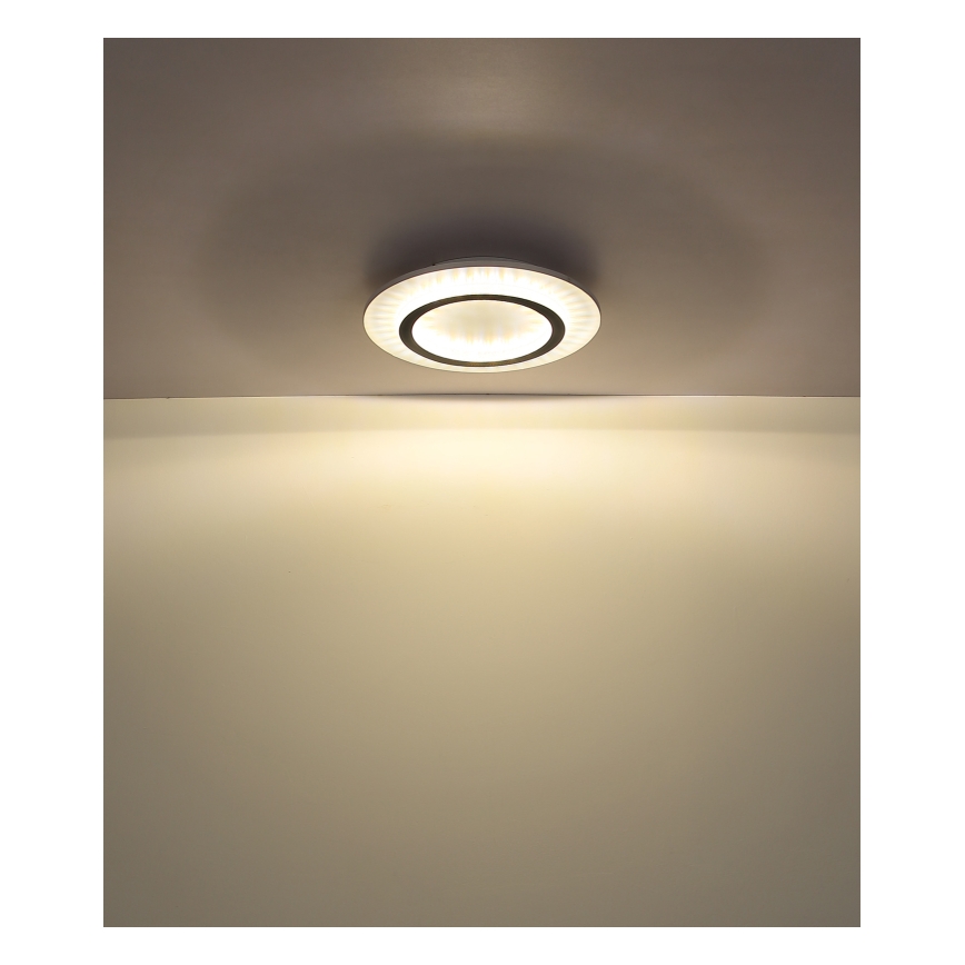 Globo - LED Φωτιστικό Οροφής LED/24W/230V 3000/4000/6500K Ø 35 cm λευκό