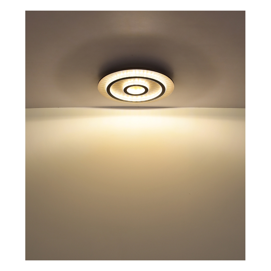 Globo - LED ρυθμιζόμενο φωτιστικό οροφής LED/40W/230V 3000-6500K Ø 45 cm μαύρο + τηλεχειριστήριο