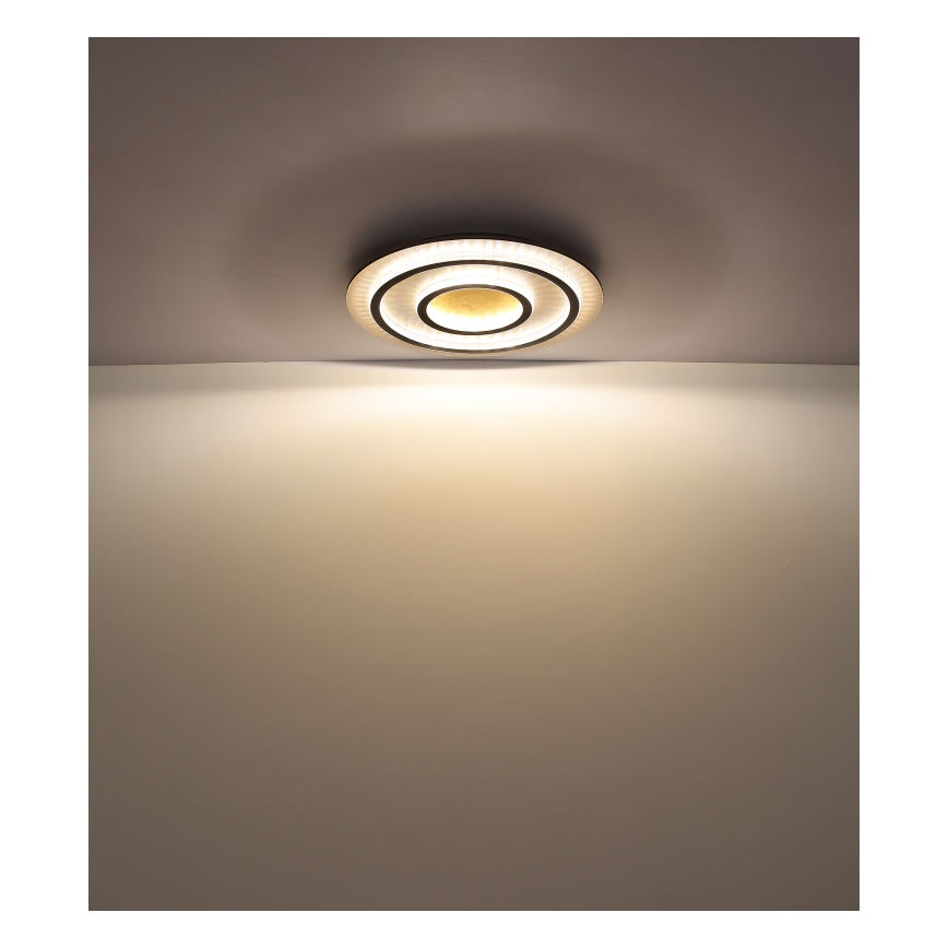 Globo - Ρυθμιζόμενο φωτιστικό οροφής LED/60W/230V 3000-6500K διάμ. 55 cm μαύρο + τηλεχειριστήριο