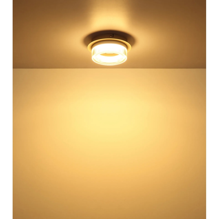 Globo - Φωτιστικό οροφής LED/8W/230V 3000K, διάμ. 16 cm