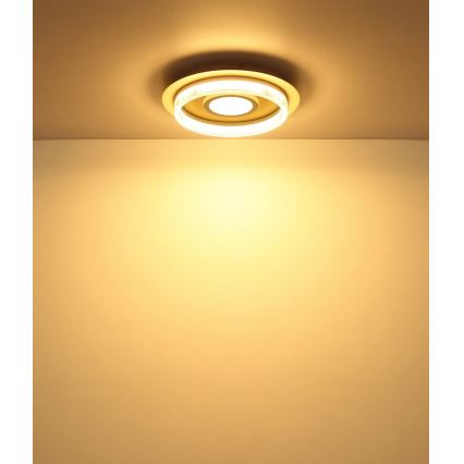 Globo - Φωτιστικό οροφής LED, 24W, 230V, 3000K, διάμετρος 40 cm