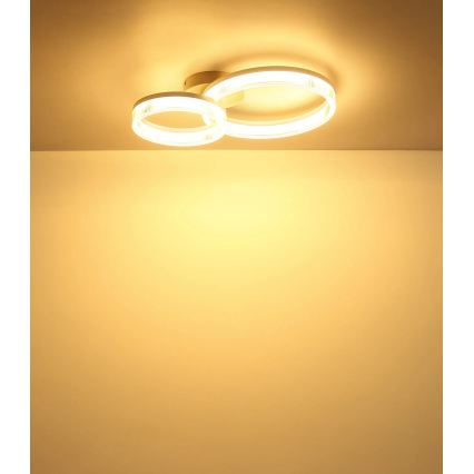 Globo - LED φωτιστικό οροφής LED/24W/230V 3000K 33x50 cm