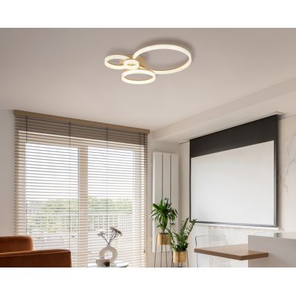 Globo - Φωτιστικό οροφής LED/40W/230V 3000K 64,5x75 cm