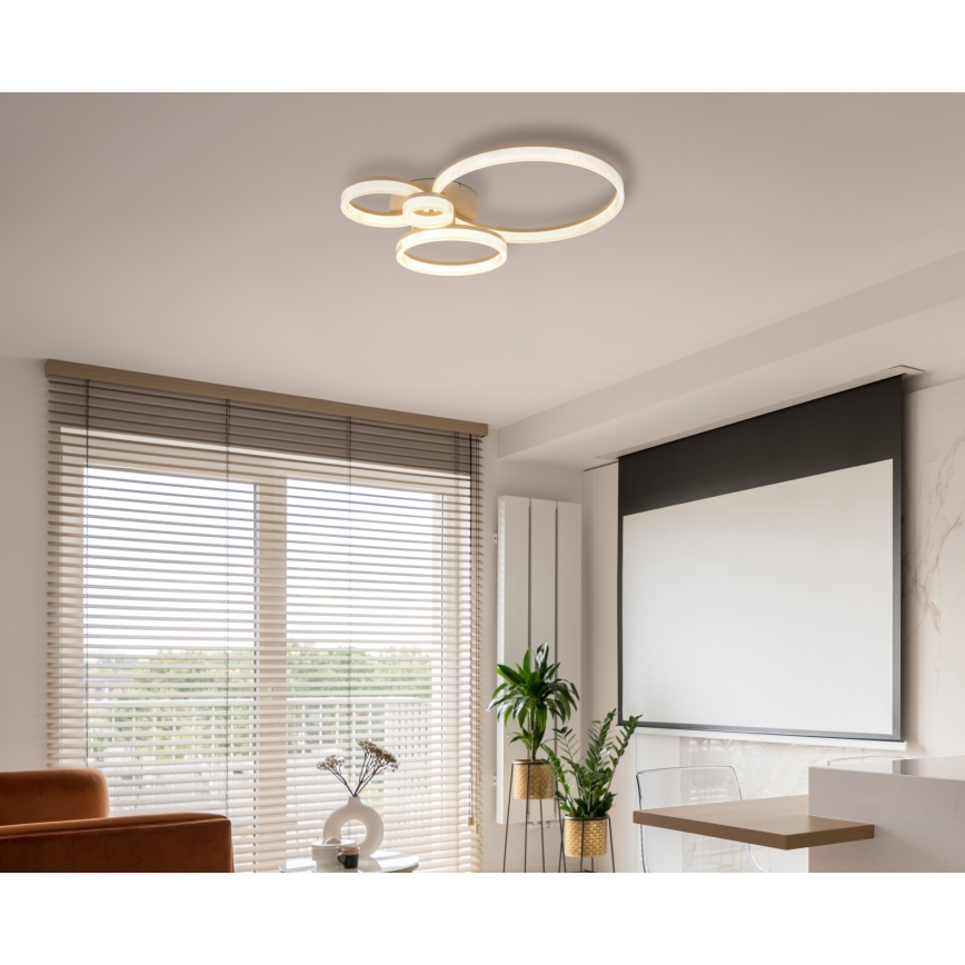 Globo - Φωτιστικό οροφής LED/40W/230V 3000K 64,5x75 cm